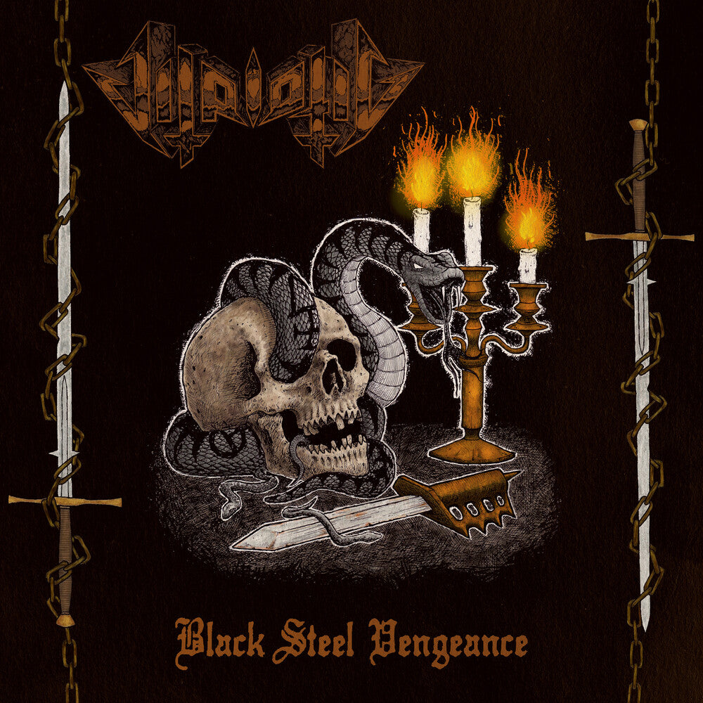 the album cover for Vitriolic - Black Steel Vengeance