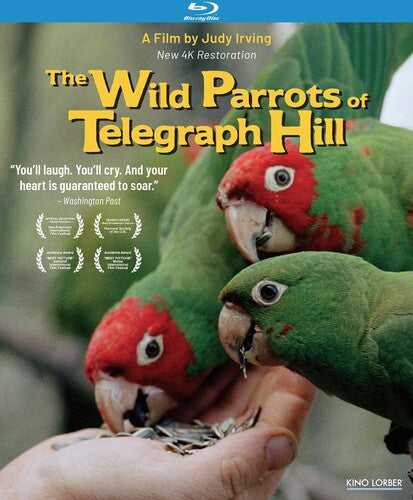 Wild Parrots Of Telegraph Hill - Wild Parrots Of Telegraph Hill - Blu-ray