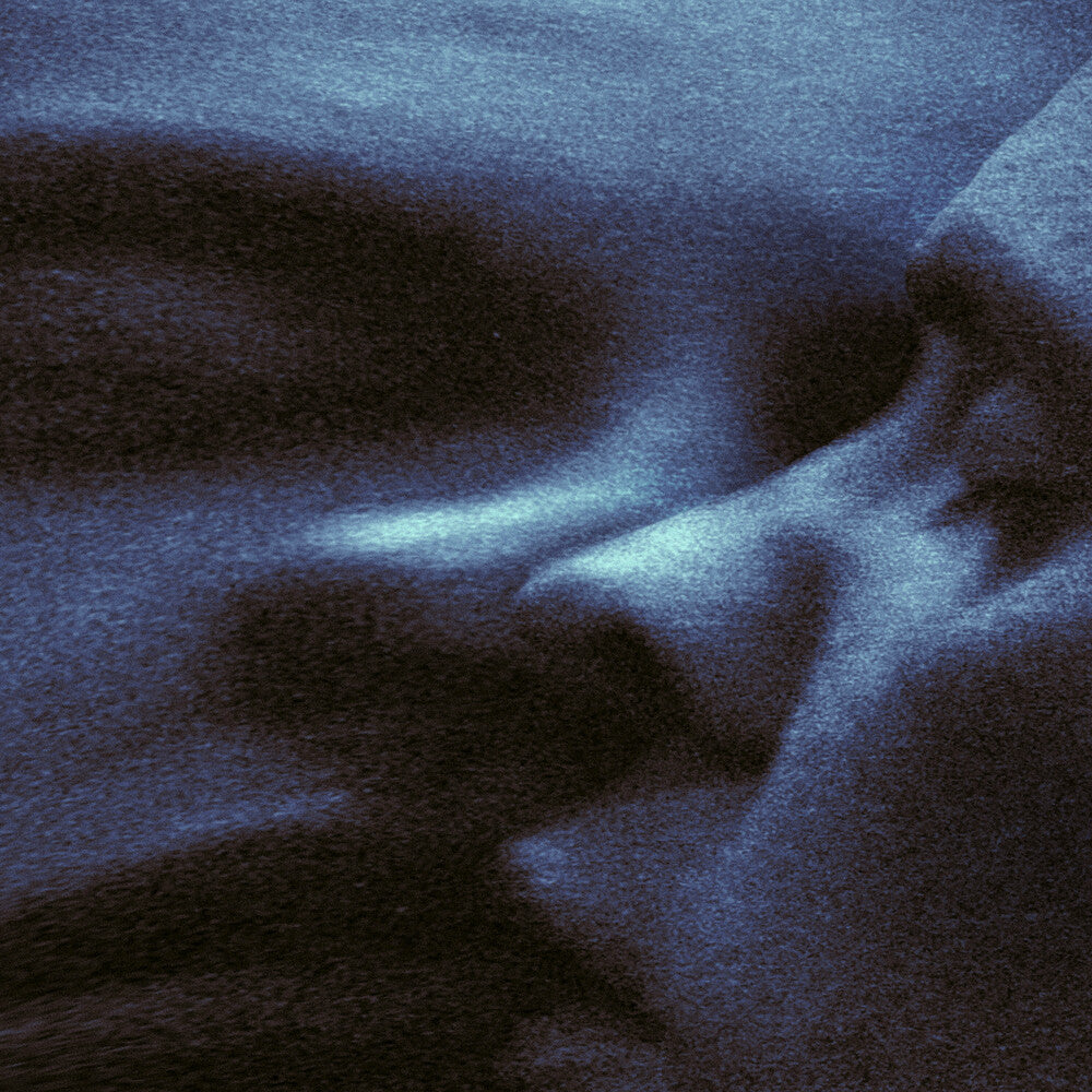 the album cover for Puma Blue - Croak Dream