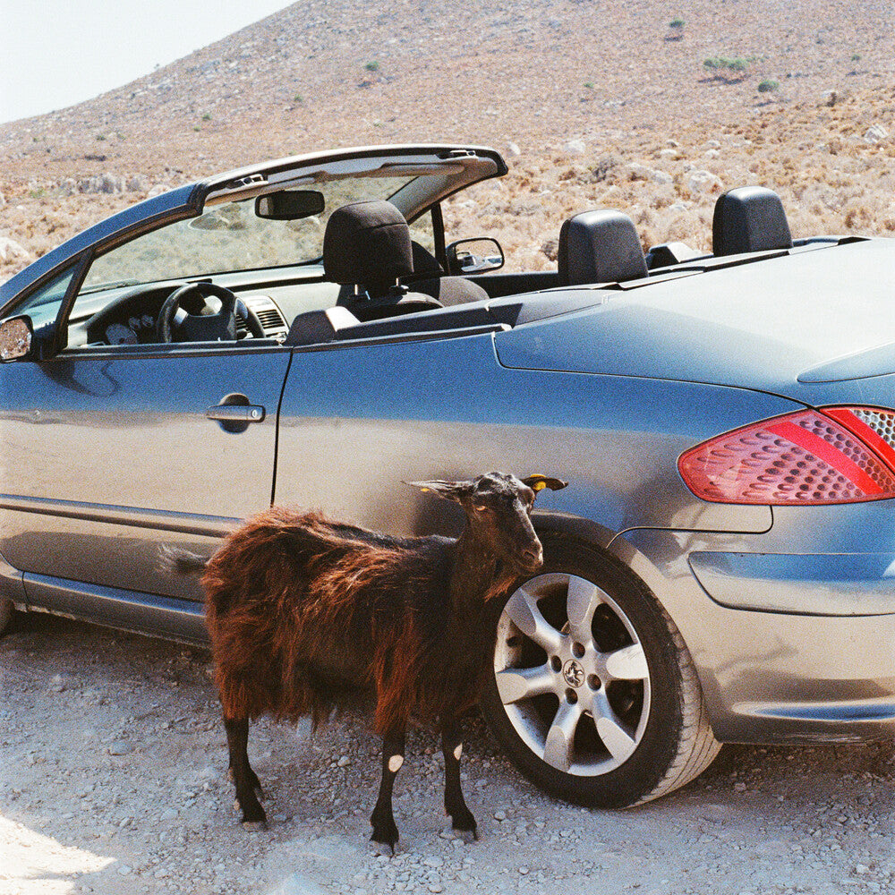 the album cover for Exek - Prove The Mountains Move