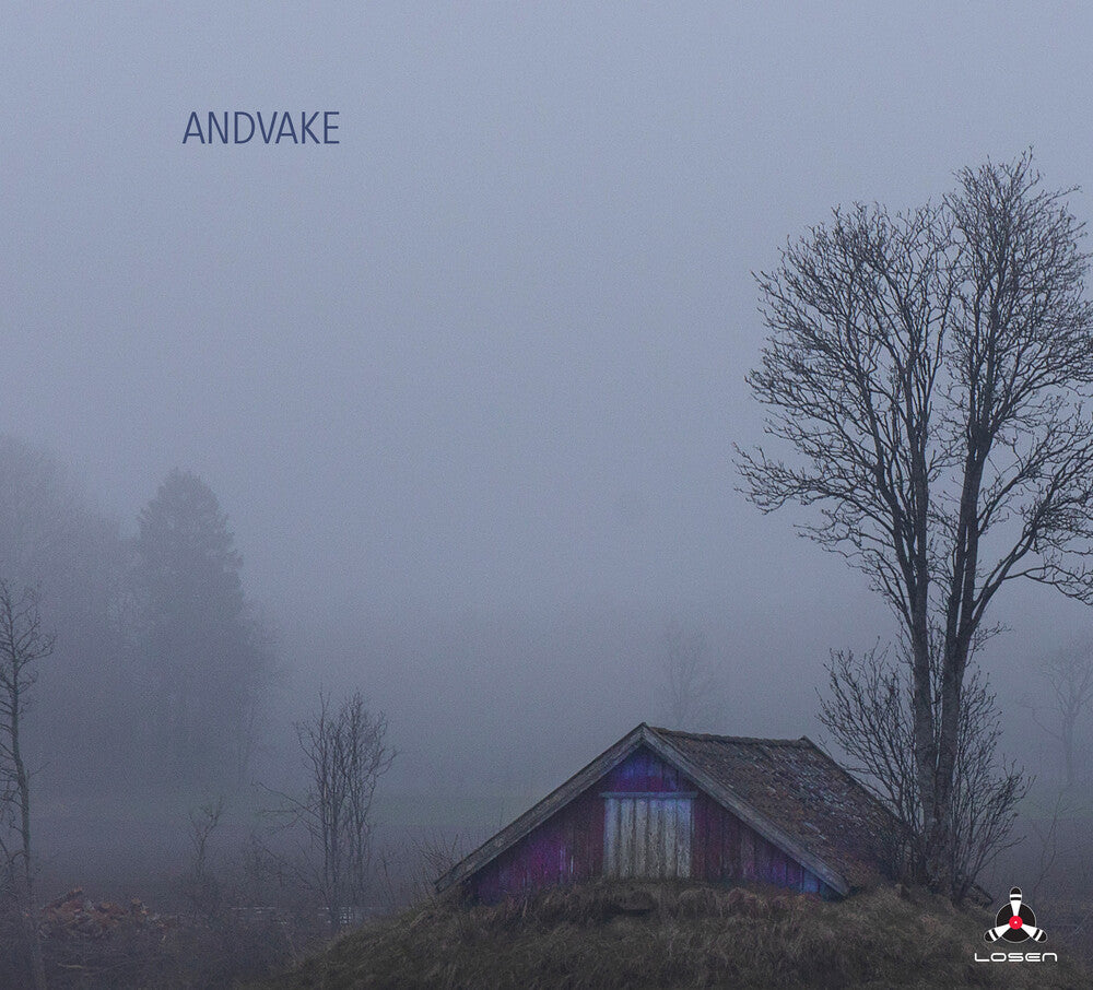 the album cover for Stefano Boggiani - Andvake