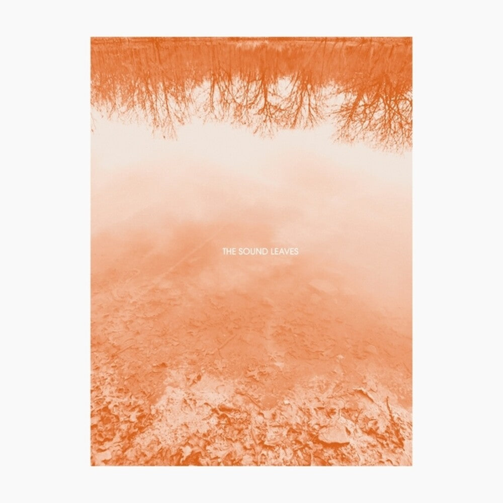 the album cover for Brad Rose E - Sound Leaves