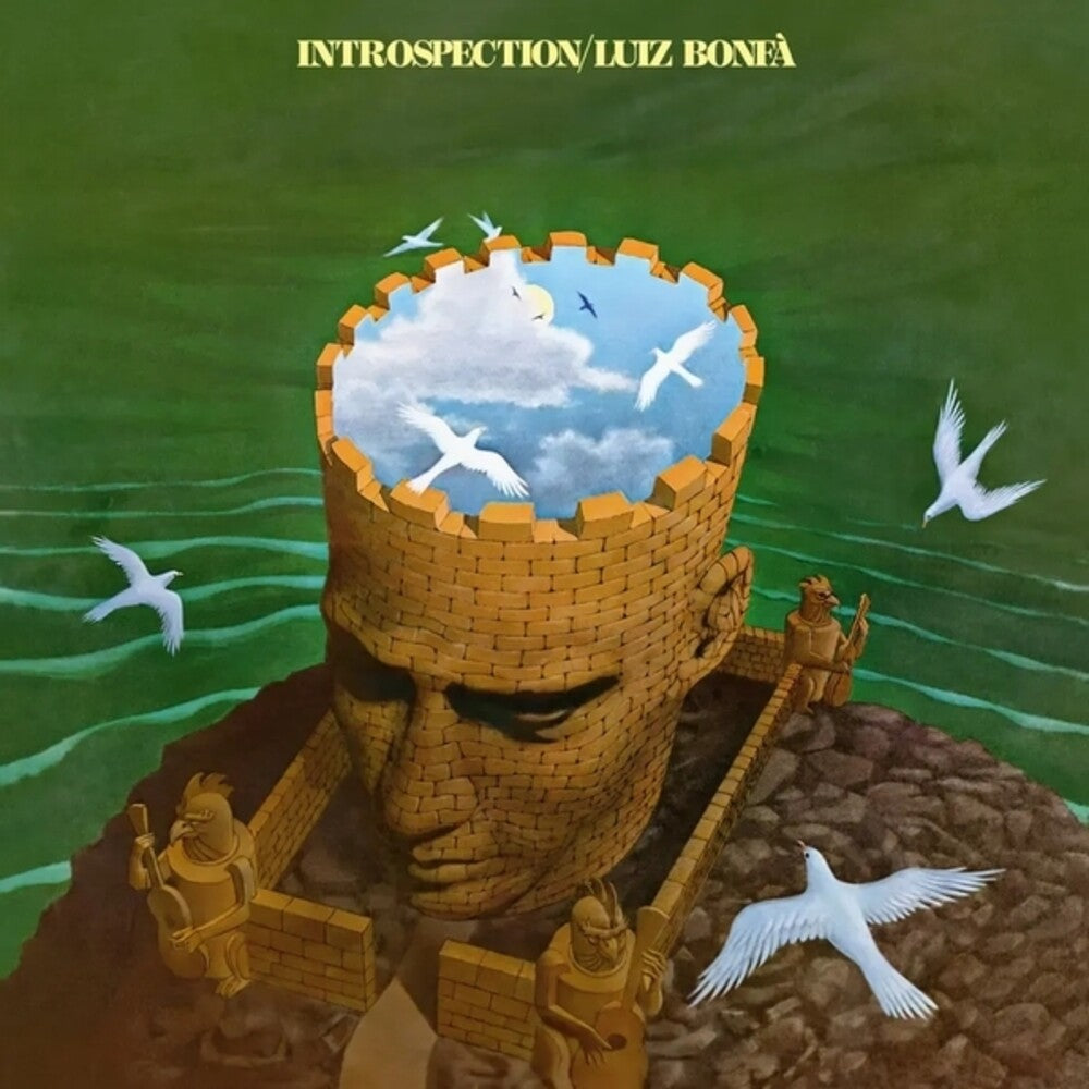the album cover for Luiz Bonfa - Introspection