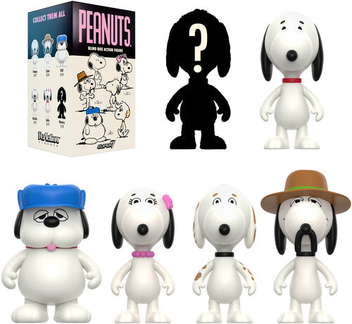 Peanuts Wave 10 (snoopy's Siblings) - 12pc Blind B - Peanuts Wave 10 (snoopy's Siblings) - 12pc Blind B - Collectibles