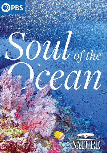 Nature: Soul Of The Ocean - Nature: Soul Of The Ocean - DVD