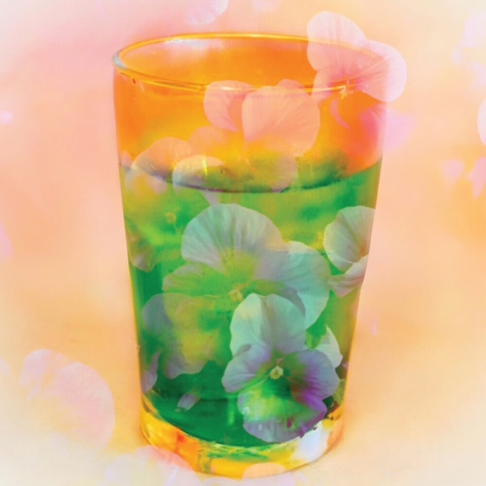 the album cover for Susanne Lewis - Susanne Lewis