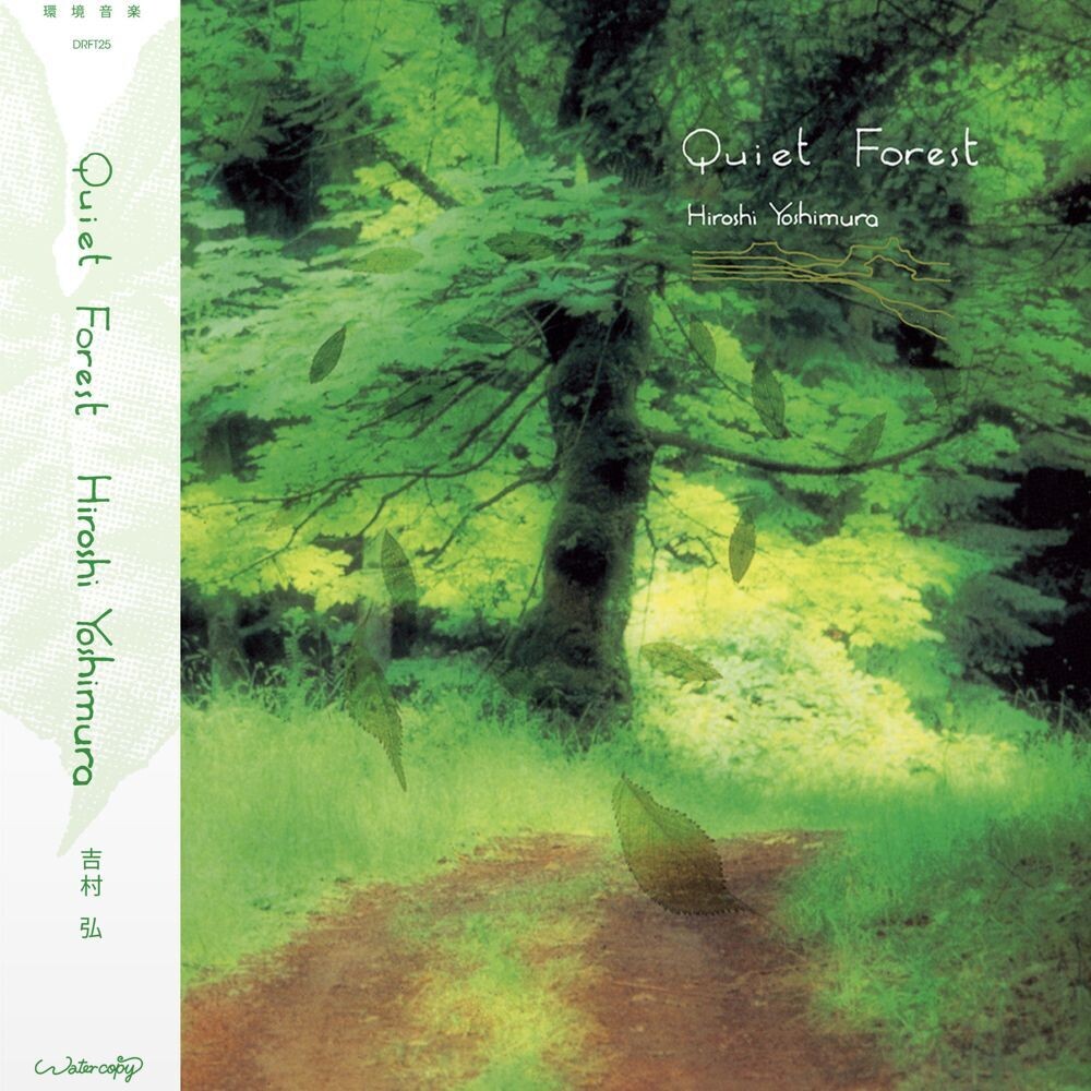 the album cover for Hiroshi Yoshimura - Quiet Forest