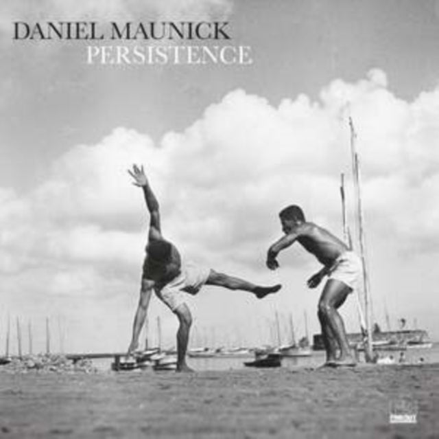 Persistence (2LP)