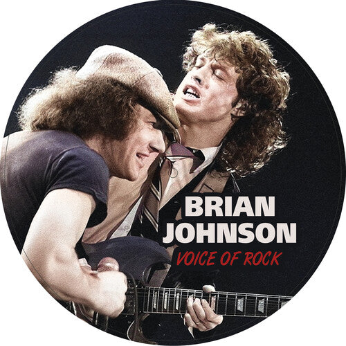 Voice Of Rock (7") (Vinyl)