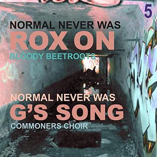 NORMAL NEVER WAS V (Vinyl)