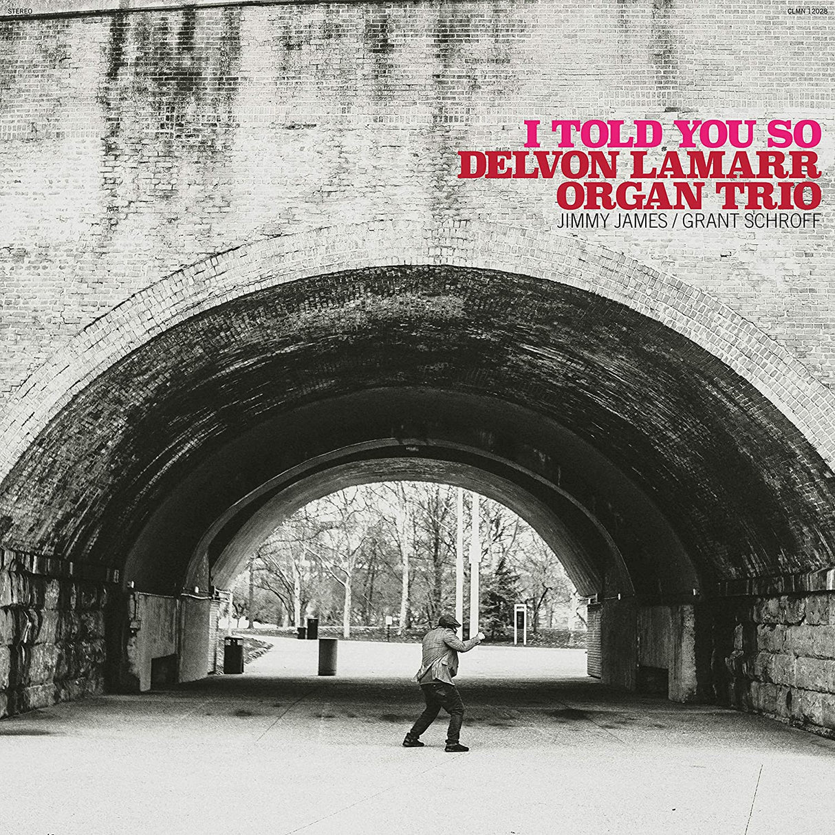 I Told You So (Black Vinyl) (Vinyl)