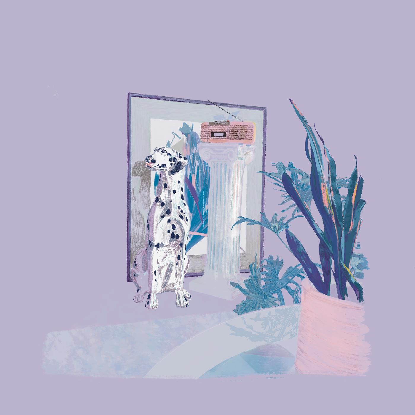 shapes & colors (CD)