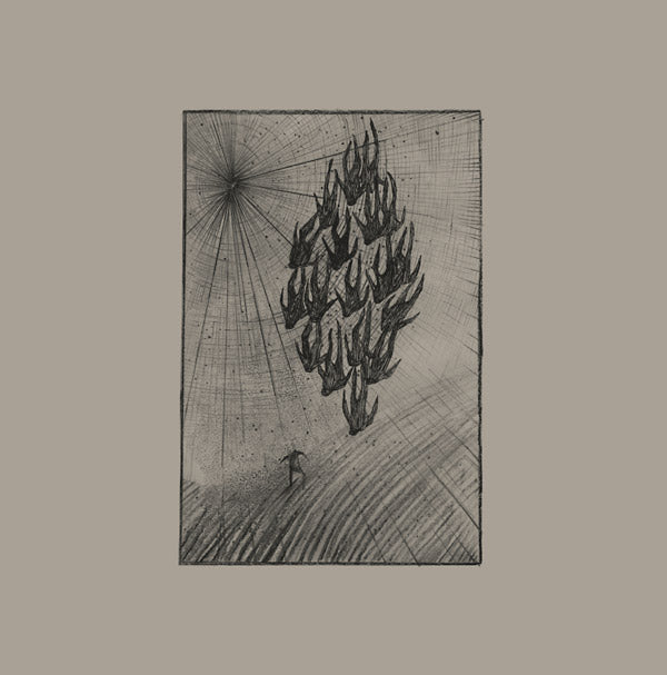 Locusts (Vinyl) - Apocalypse Vinyl