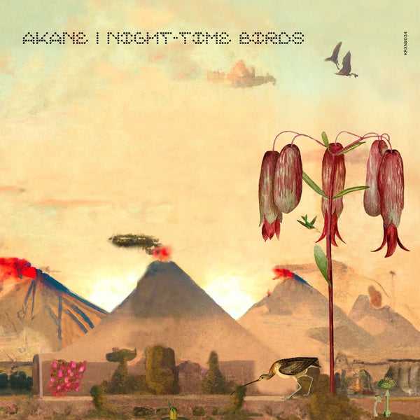 Night-Time Birds (Vinyl)