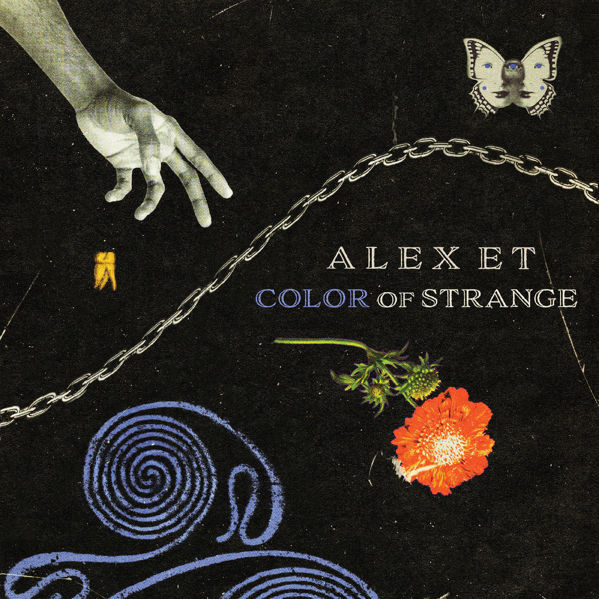 Color Of Strange (Vinyl)