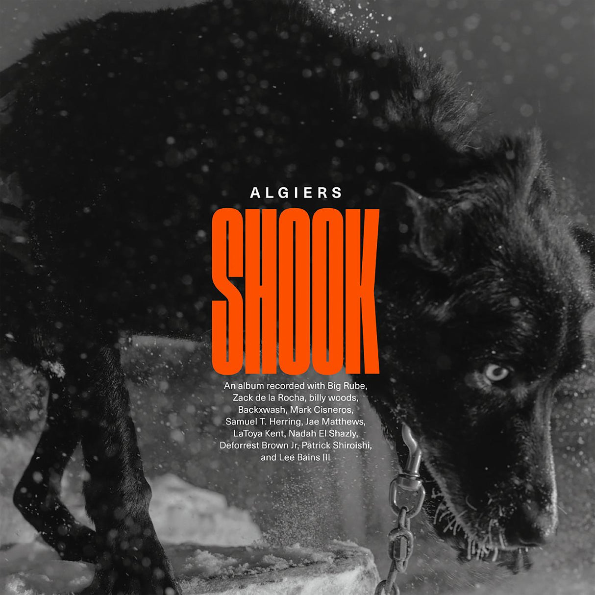 Shook (CD)
