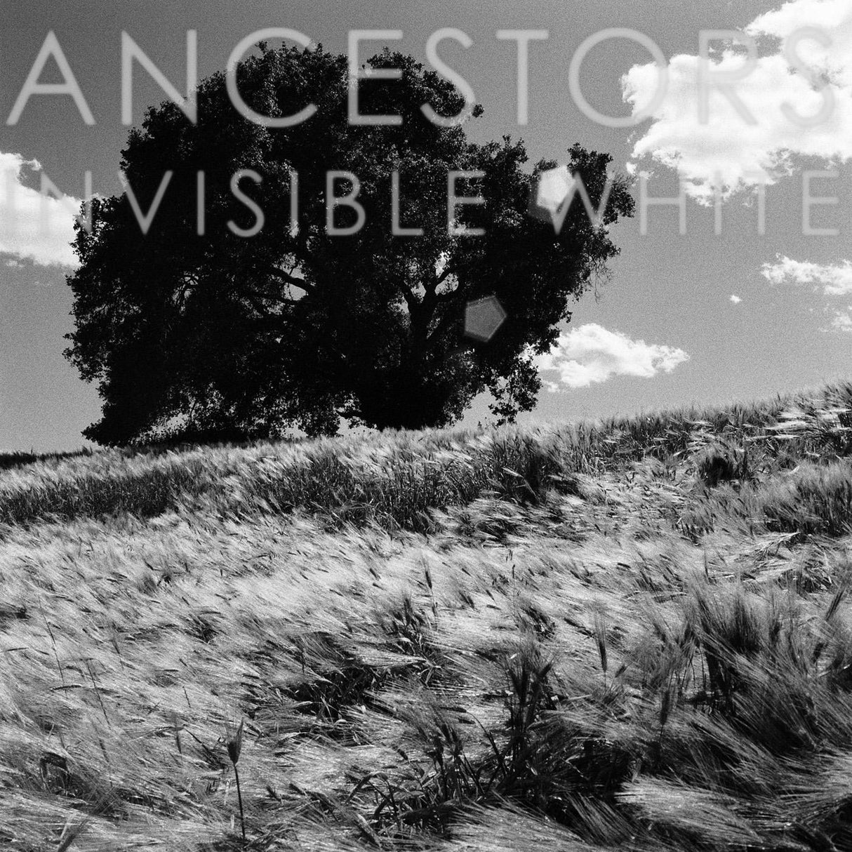 Invisible White (OPAQUE GRAY VINYL) (Vinyl) - Apocalypse Vinyl