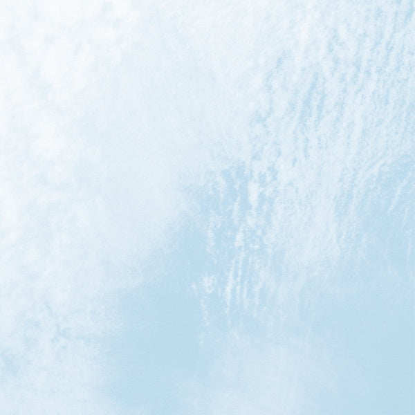 Spectral Organ/Feedback Gong (CD)