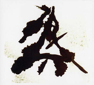 Einzelkämpfer (Lone Warrior) (CD)