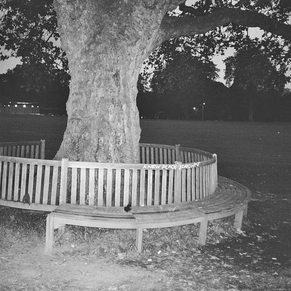 A New Place 2 Drown (Vinyl) - Apocalypse Vinyl