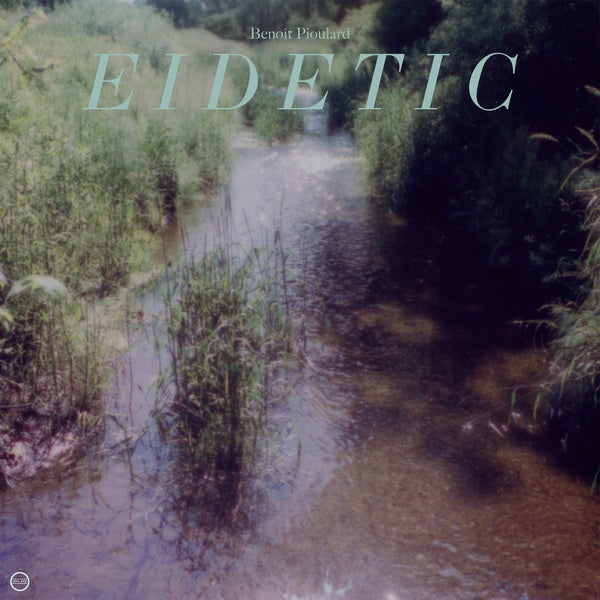 Eidetic (CD)