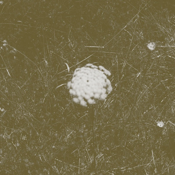 The Clear Distance (CD)