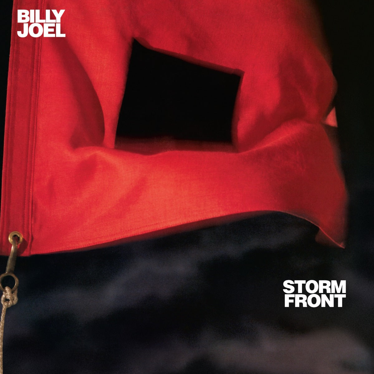 Storm Front (Vinyl)