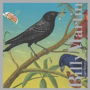 Starlings (CD)