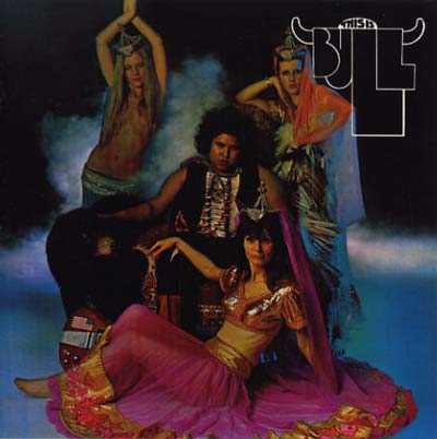 This Is Bull (CD)