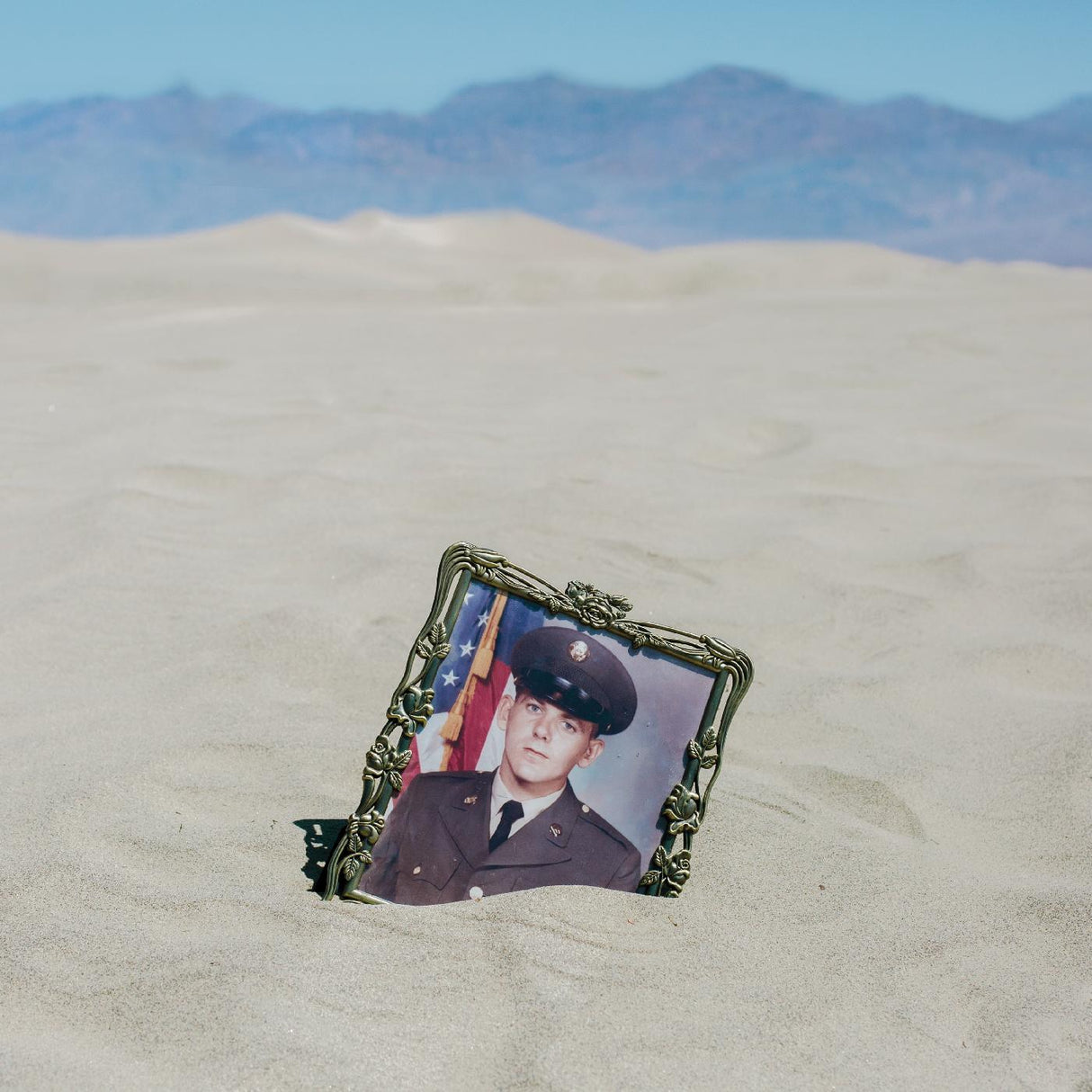 Ripe For Anarchy (CD)