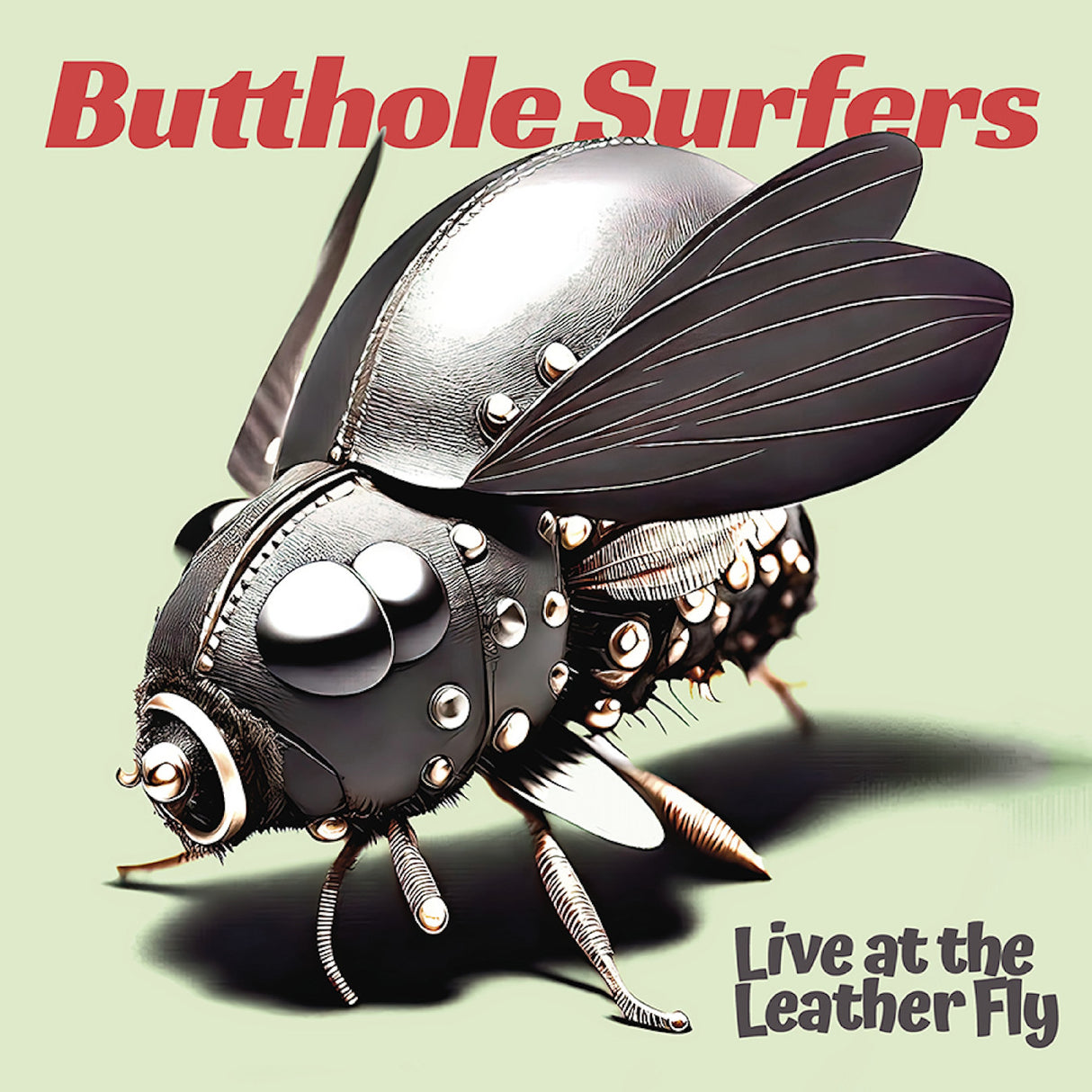 Live At The Leather Fly (CD)