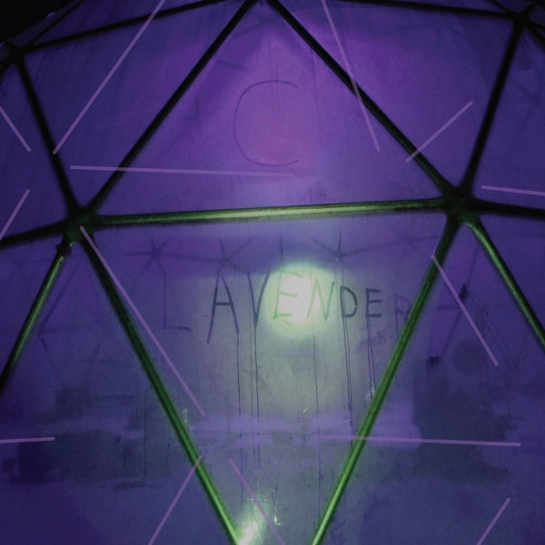 Myth Of Equilibrium (Vinyl) - Apocalypse Vinyl