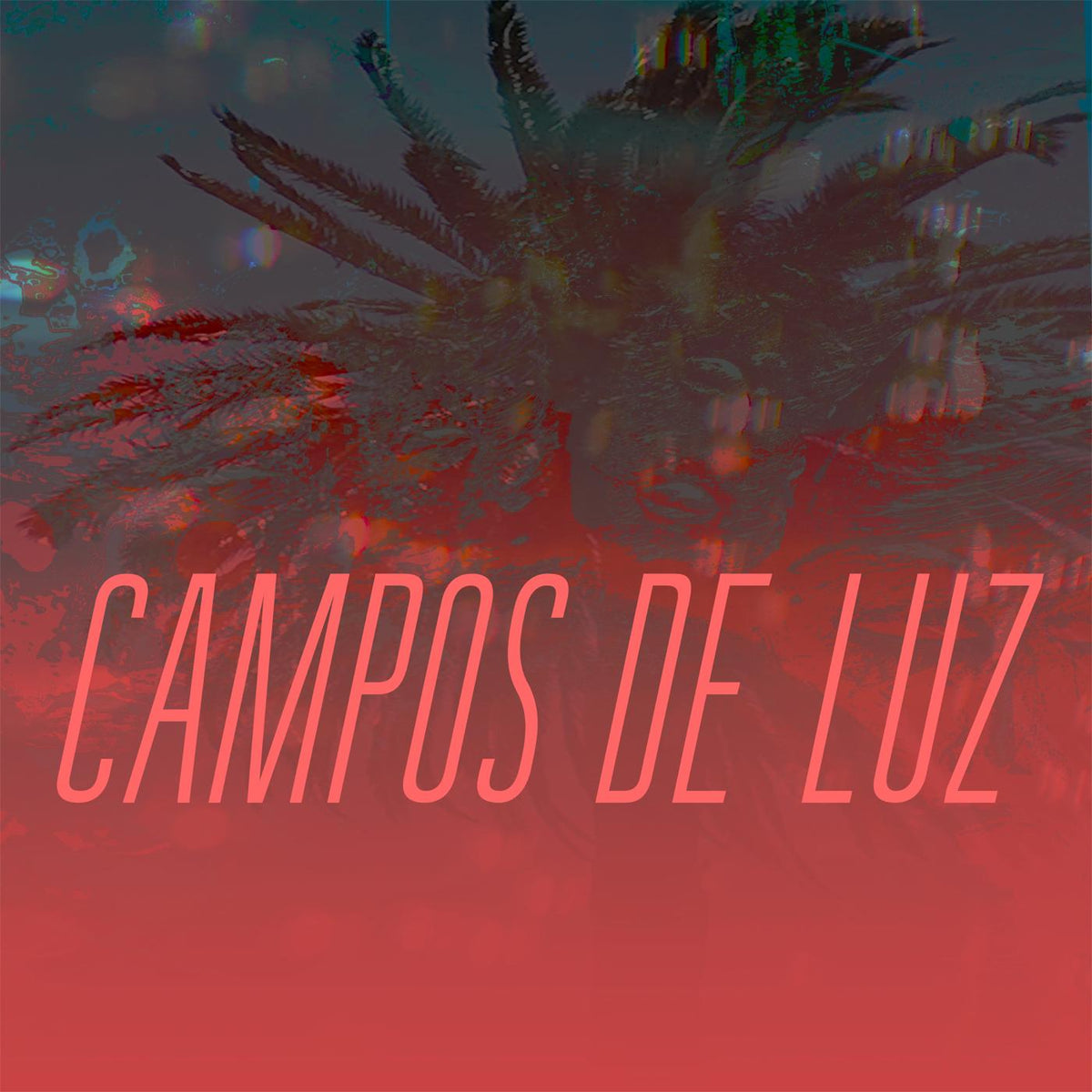 Campos de Luz (CD)