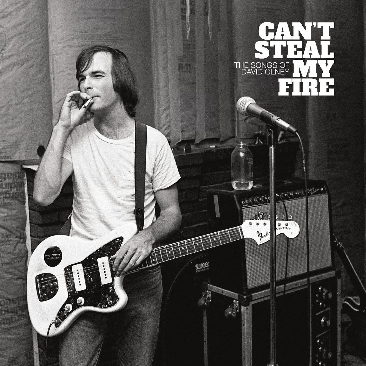 Can't Steal My Fire: The Songs of David Olney (Vinyl)