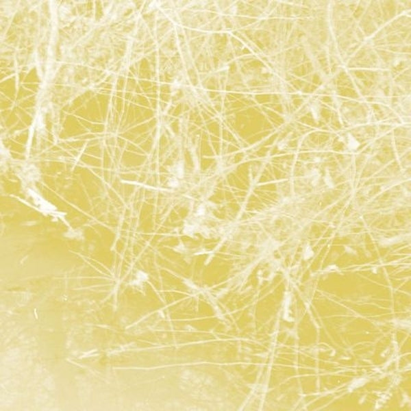 Cursory Asperses (CD)
