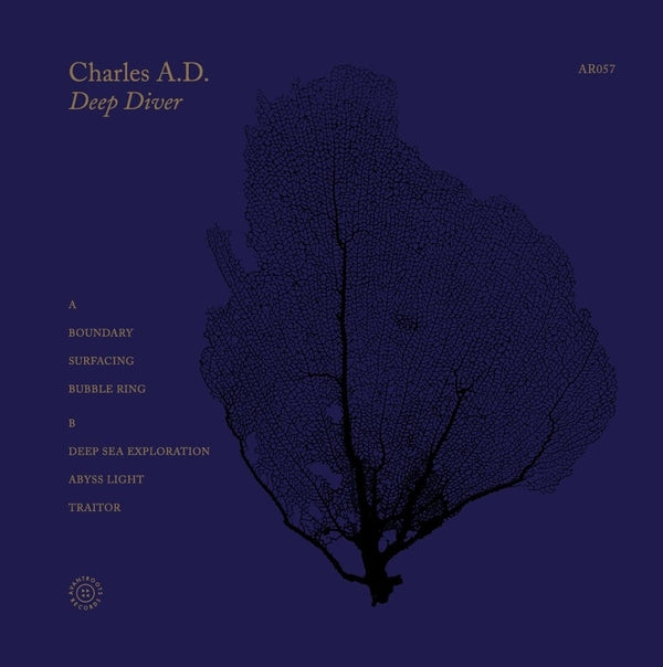 Deep Diver (Vinyl)