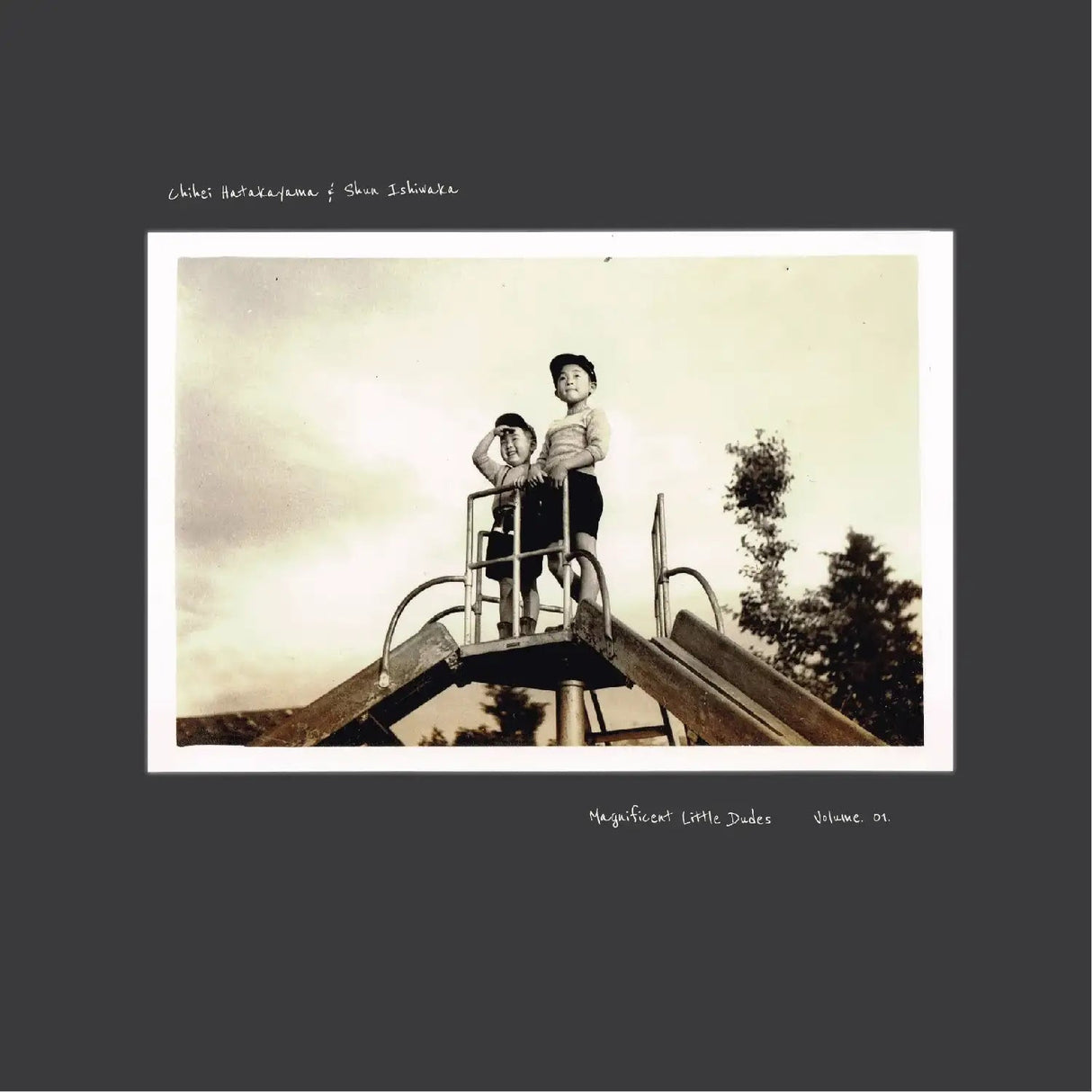 Magnificent Little Dudes Vol.1 (Vinyl)