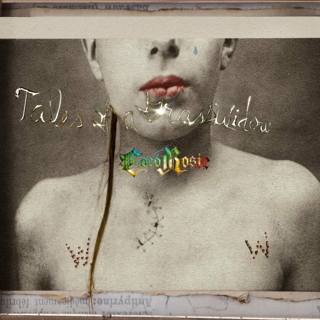 Tales Of A GrassWidow (Vinyl) - Apocalypse Vinyl