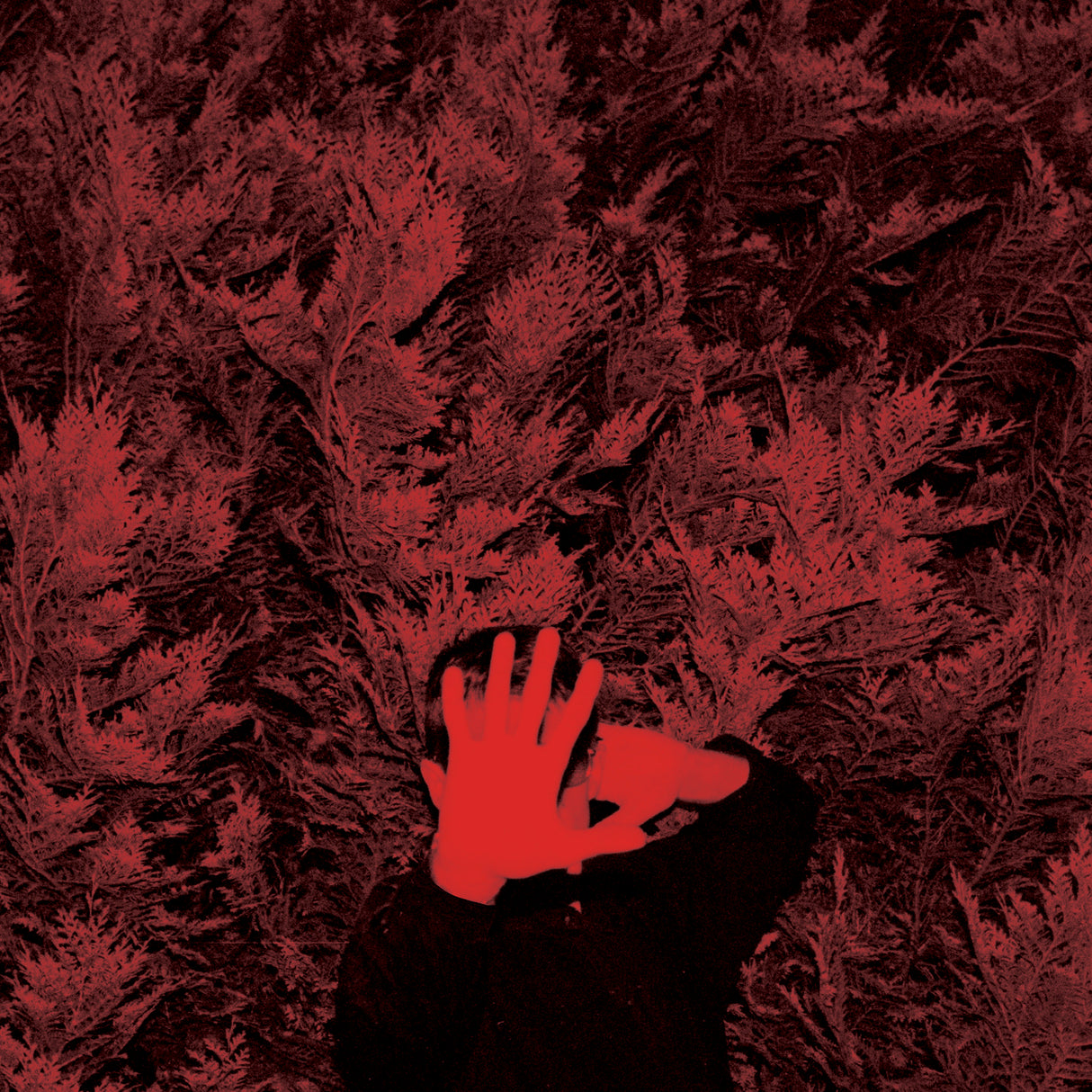 The Unborn Capitalist From Limbo (Vinyl)