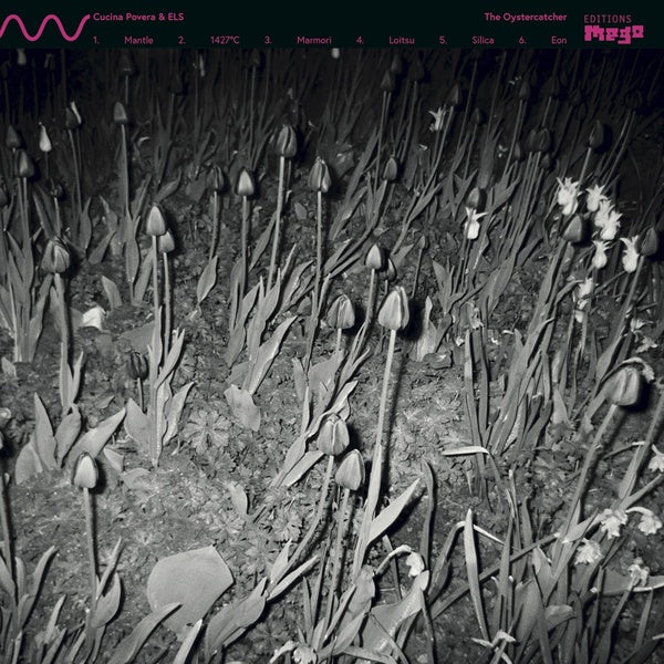 The Oystercatcher (Vinyl) - Apocalypse Vinyl