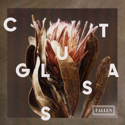 Fallen (CD)