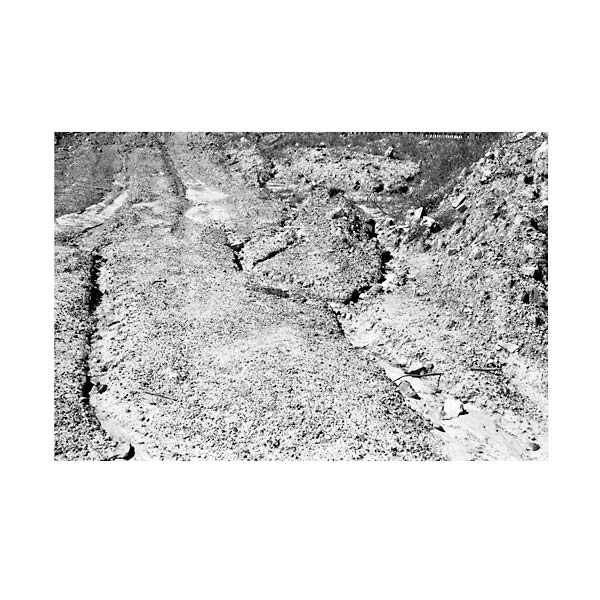 Grey-Black-Green (Vinyl)