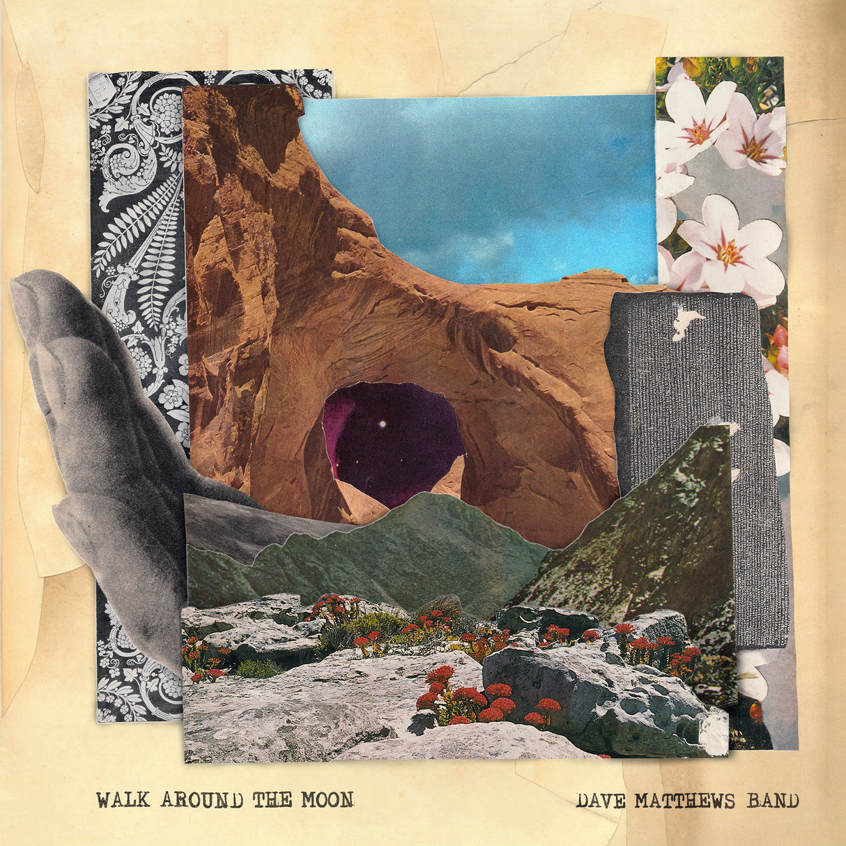 Walk Around The Moon (Clear Vinyl, Indie Exclusive) (Vinyl) - Apocalypse Vinyl
