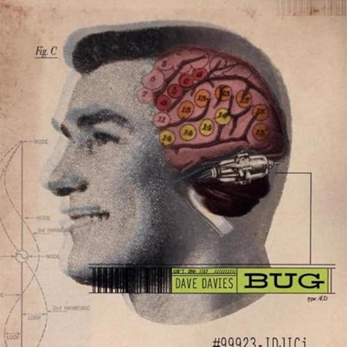 Bug (CD)