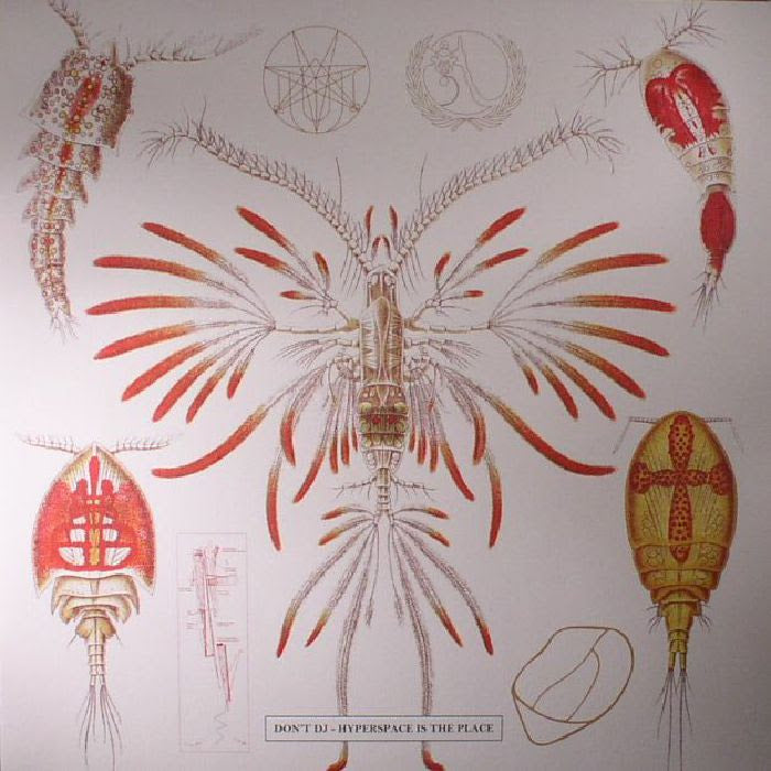 Hyperspace Is The Place / Hyperspace Is No Place (Vinyl)