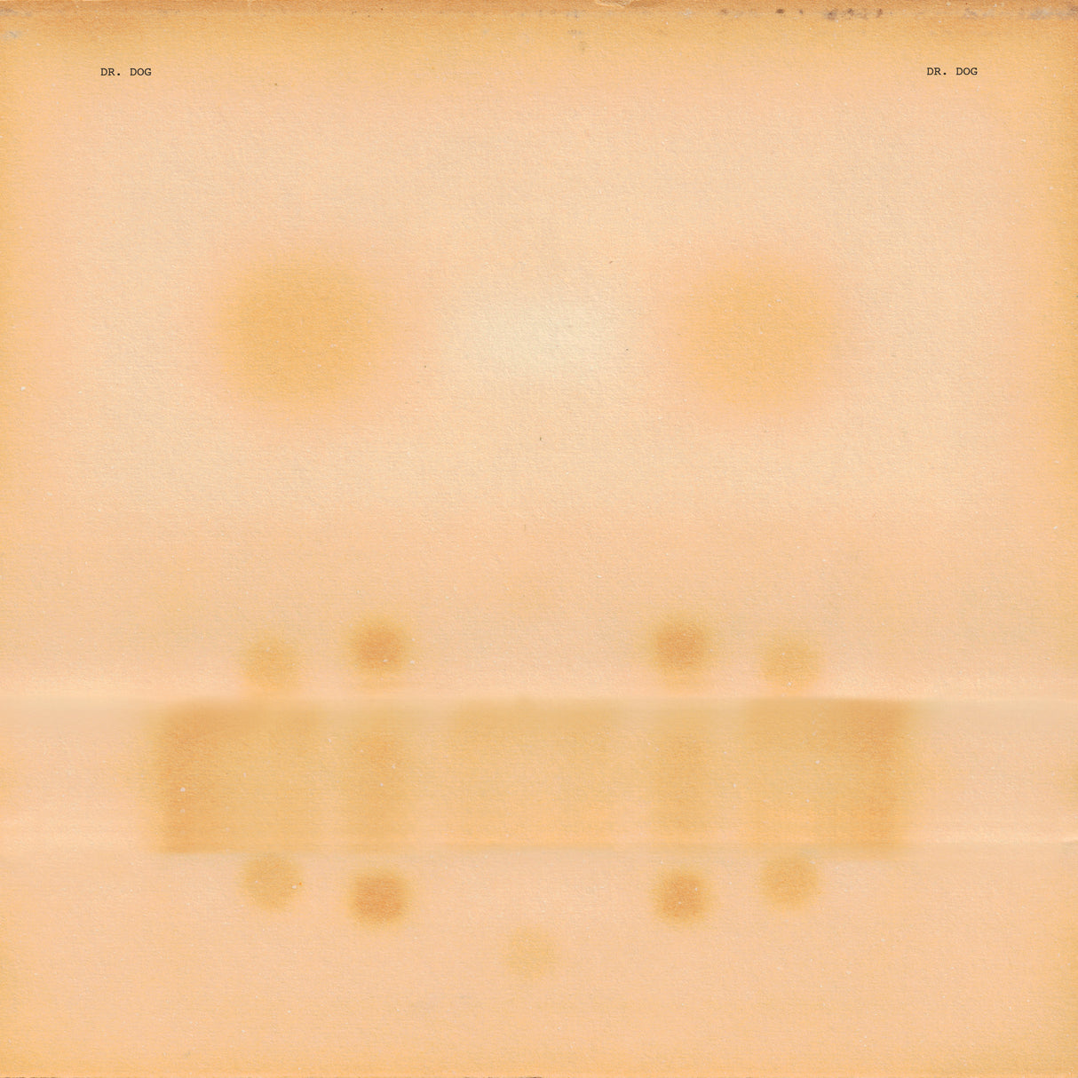Dr. Dog (Vinyl)
