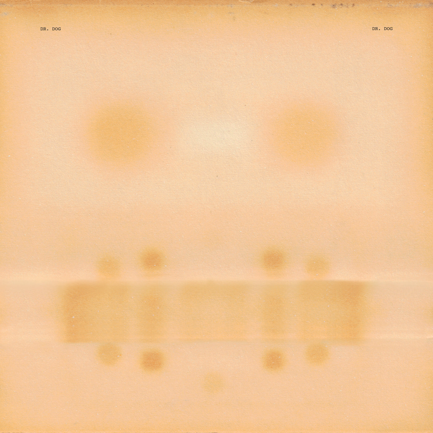 Dr. Dog (Vinyl)