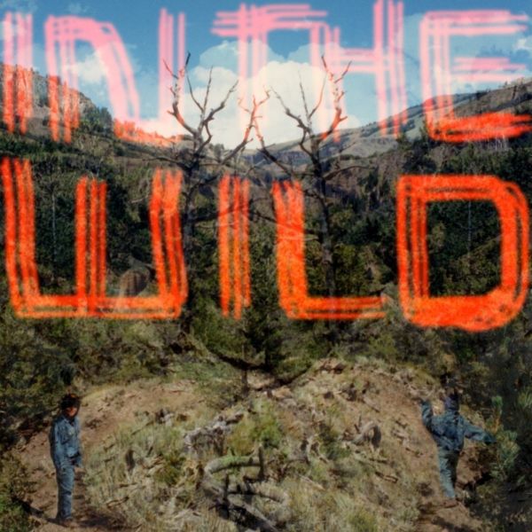 In The Wild (Vinyl) - Apocalypse Vinyl