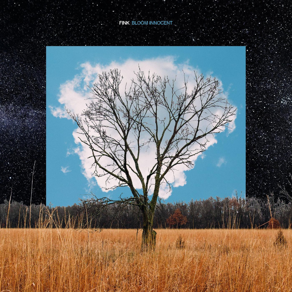 Bloom Innocent (CD)