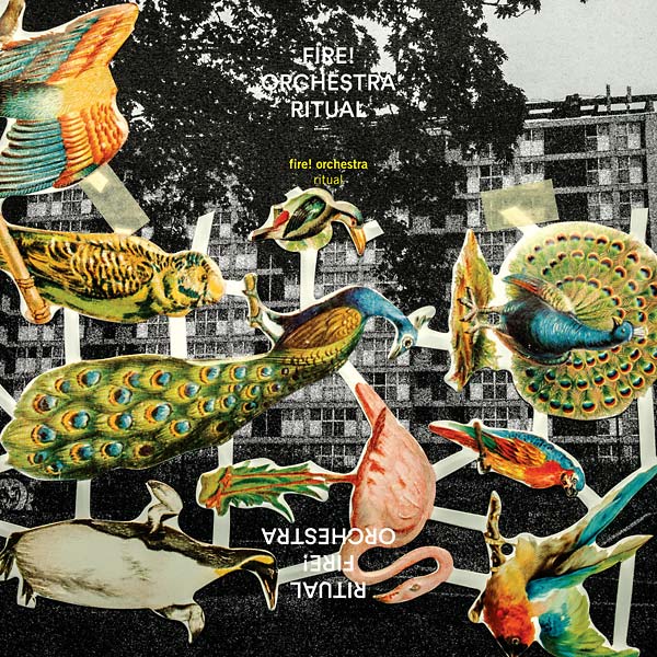 Ritual (Vinyl) - Apocalypse Vinyl